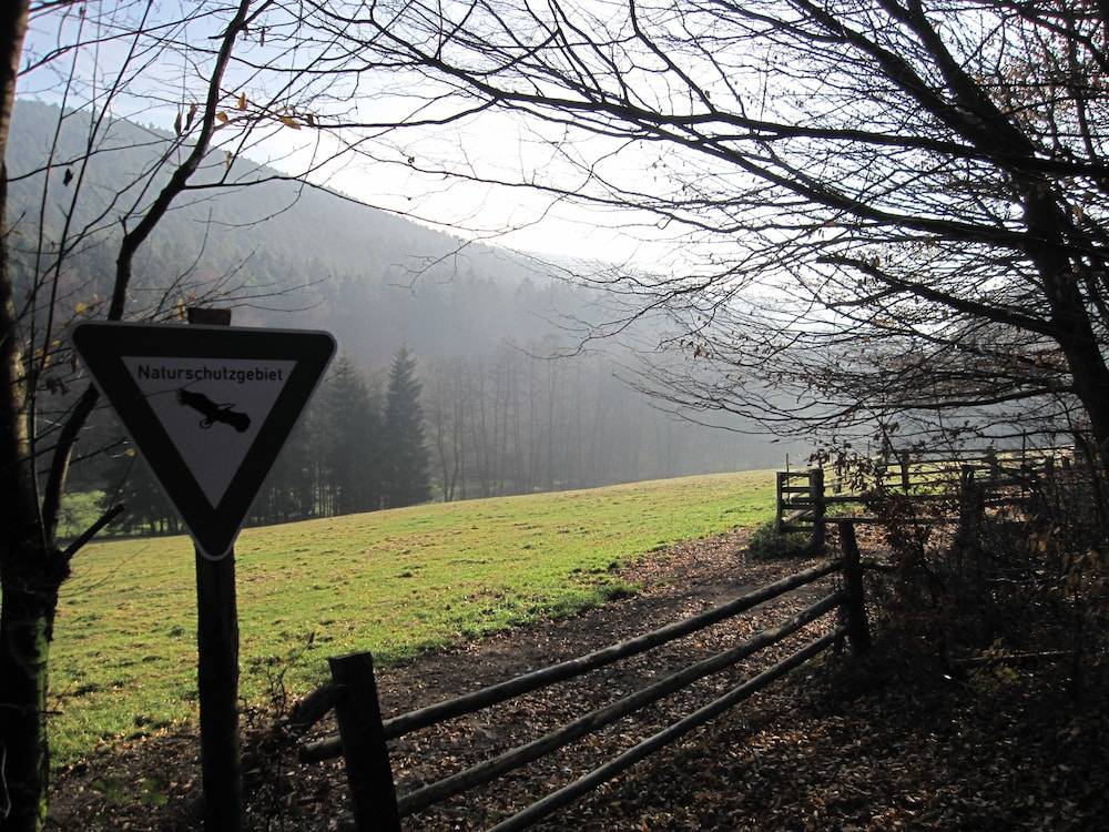 Hiking