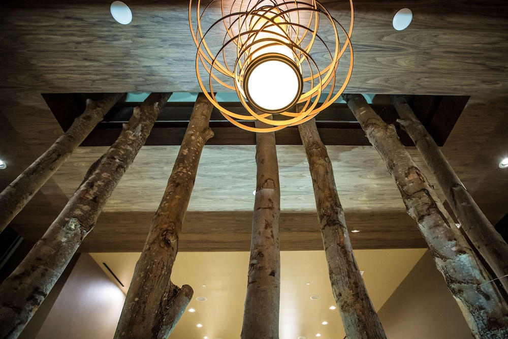 Homewood Suites by Hilton Charlotte Ballantyne NC - photo 5