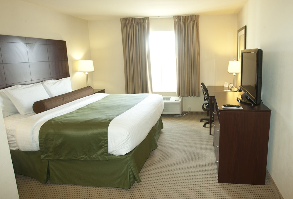 Cobblestone Inn & Suites Langdon - photo 3