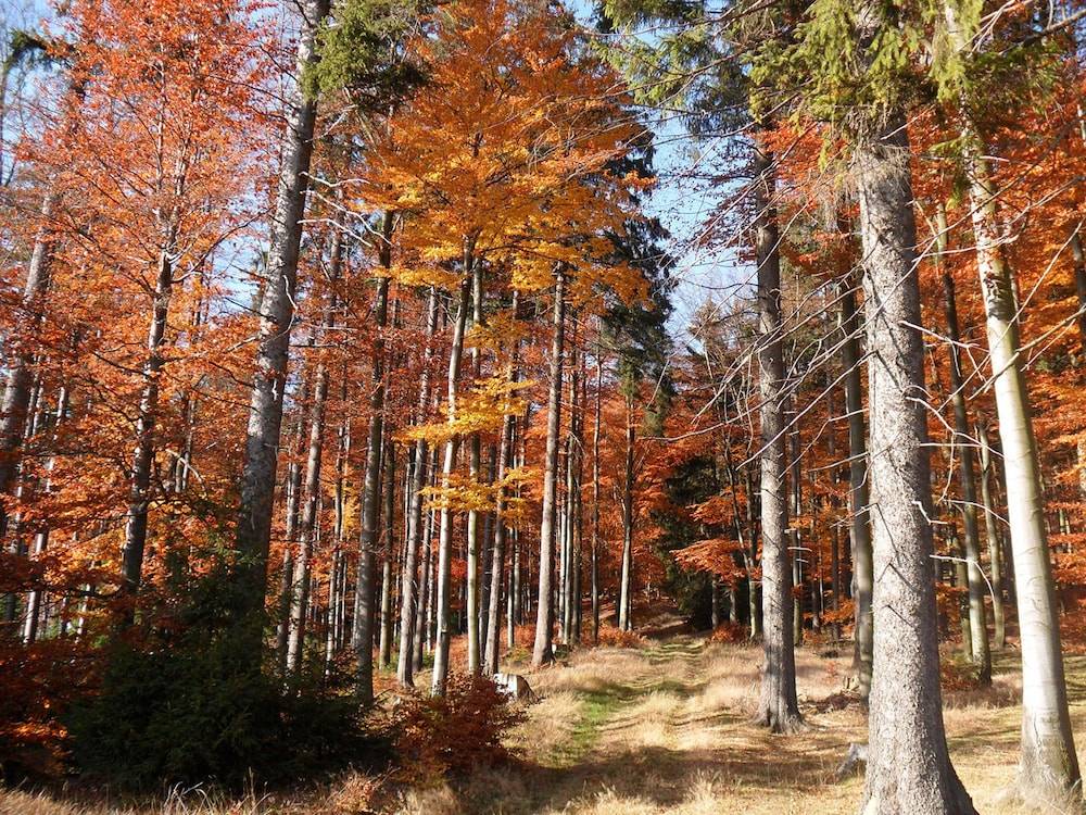 Hiking