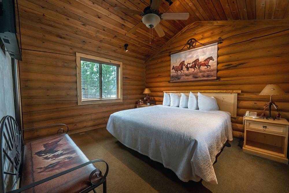 Flying Saddle Resort - photo 4