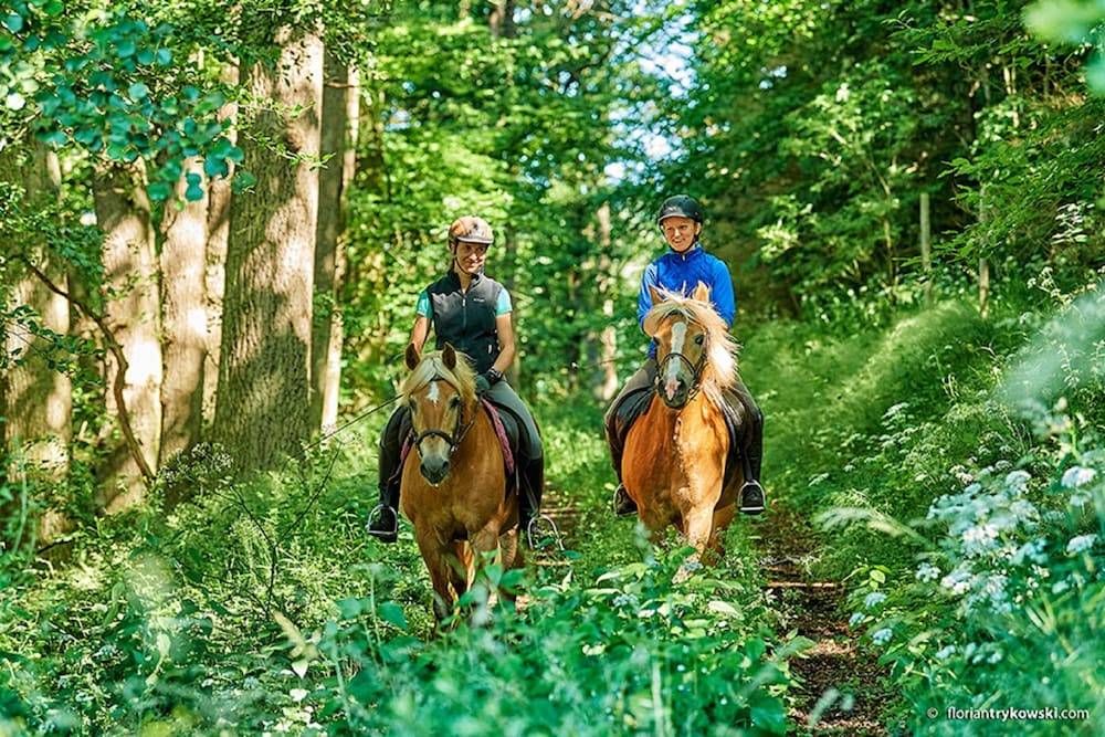 Horseback riding
