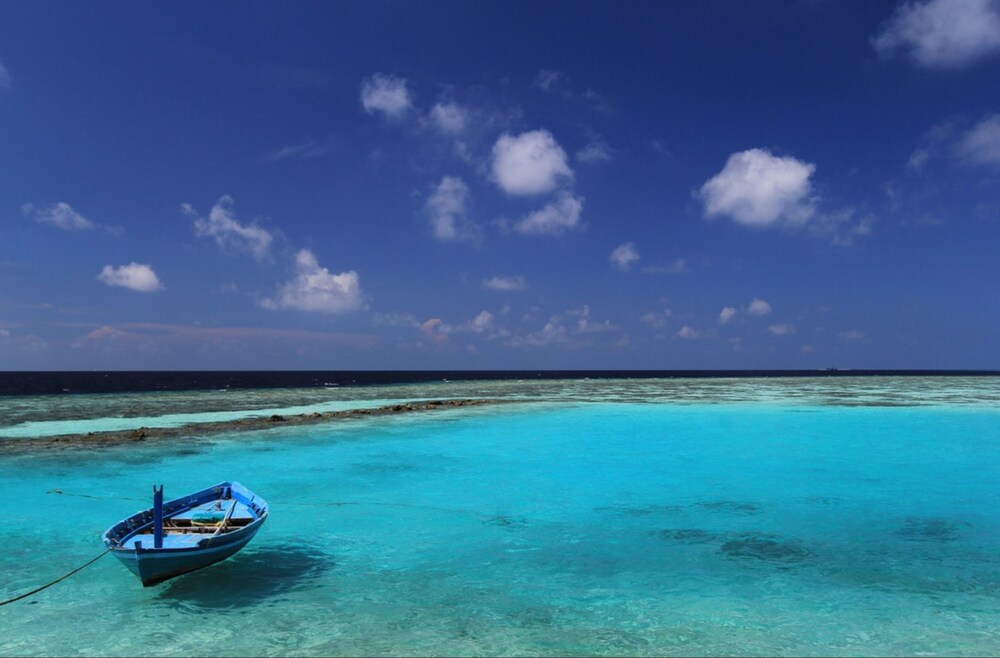 Natural Pool