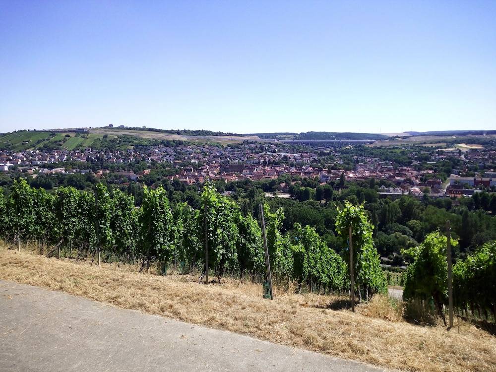Vineyard