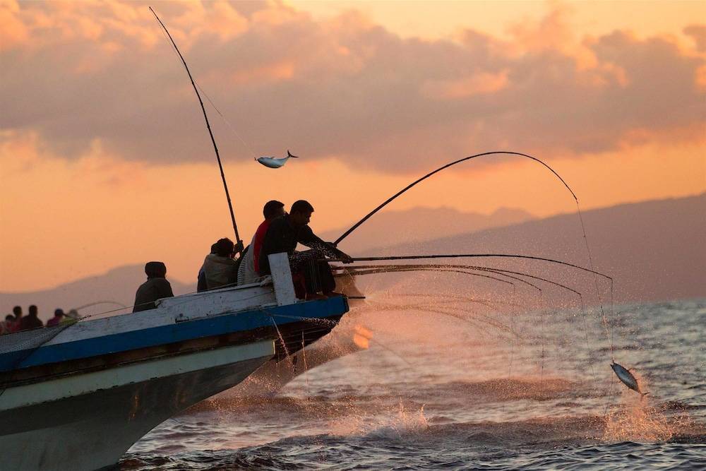 Fishing