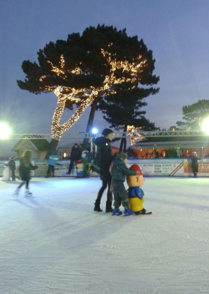 Snow and ski sports