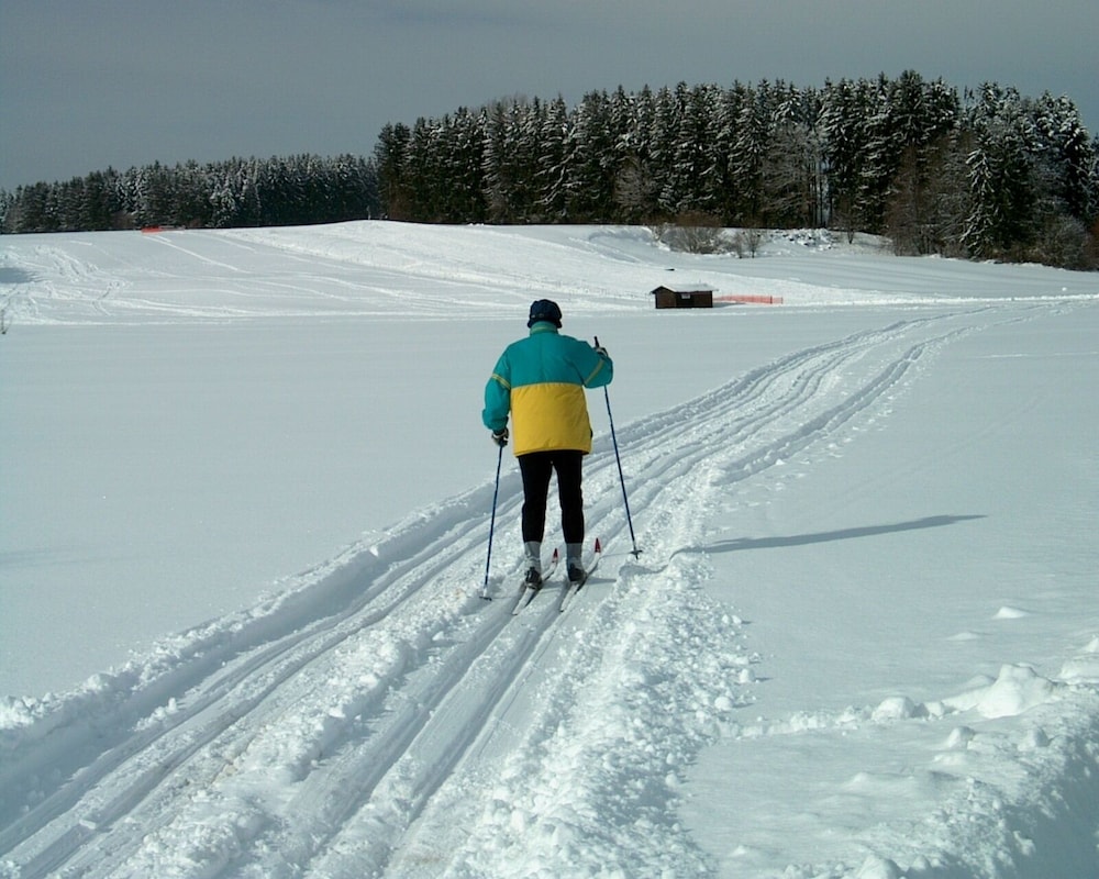 Snowshoeing