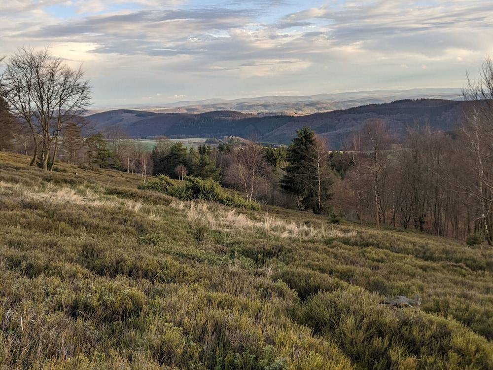 View from property