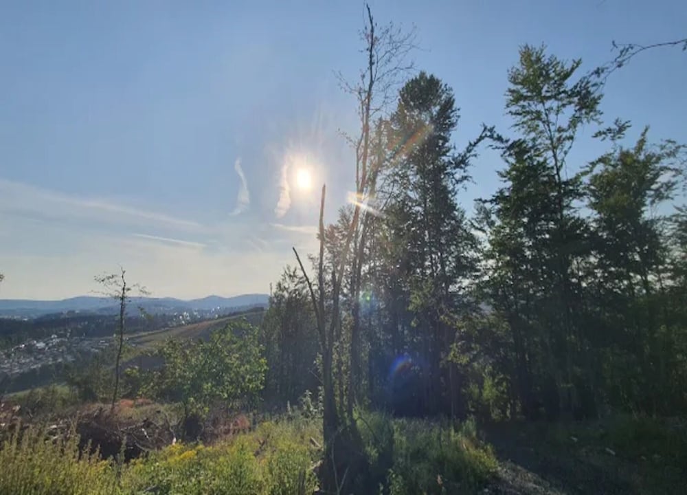 View from property