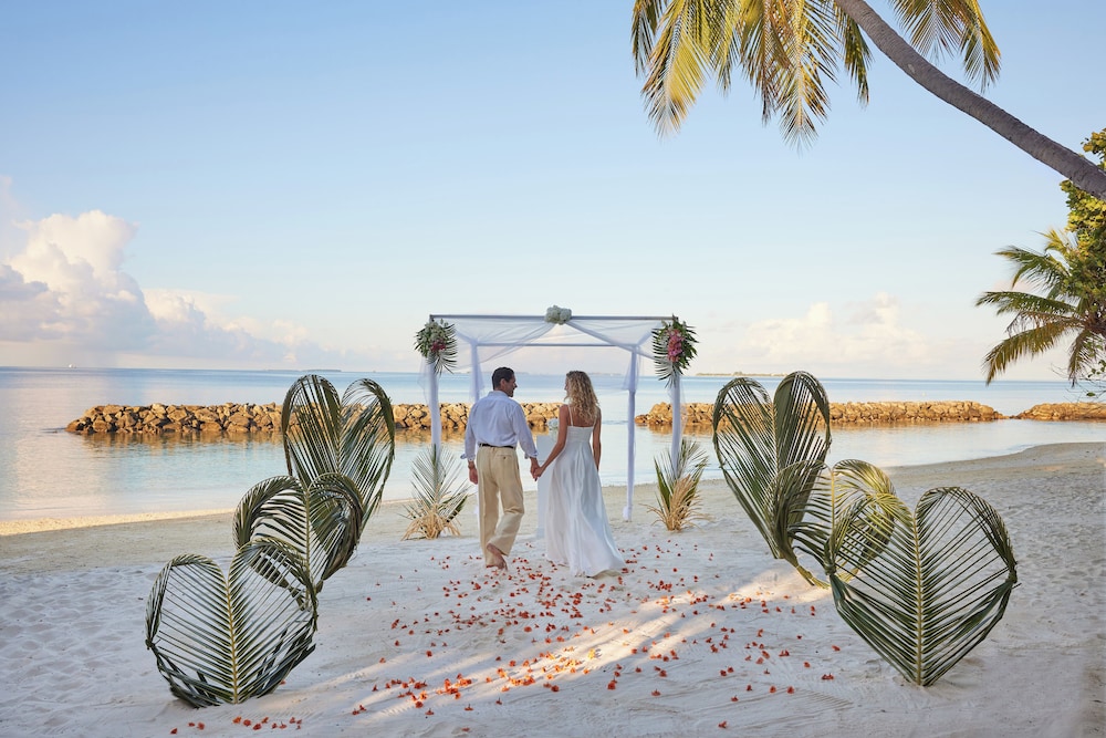 Outdoor wedding area