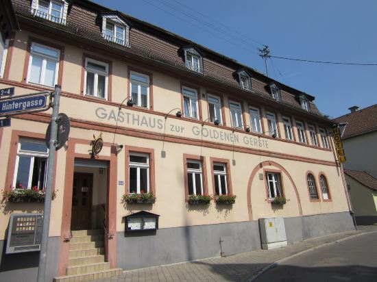 Goldene Gerste