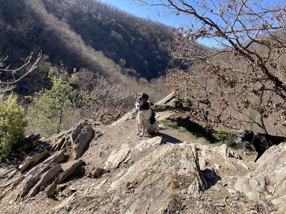 Hiking