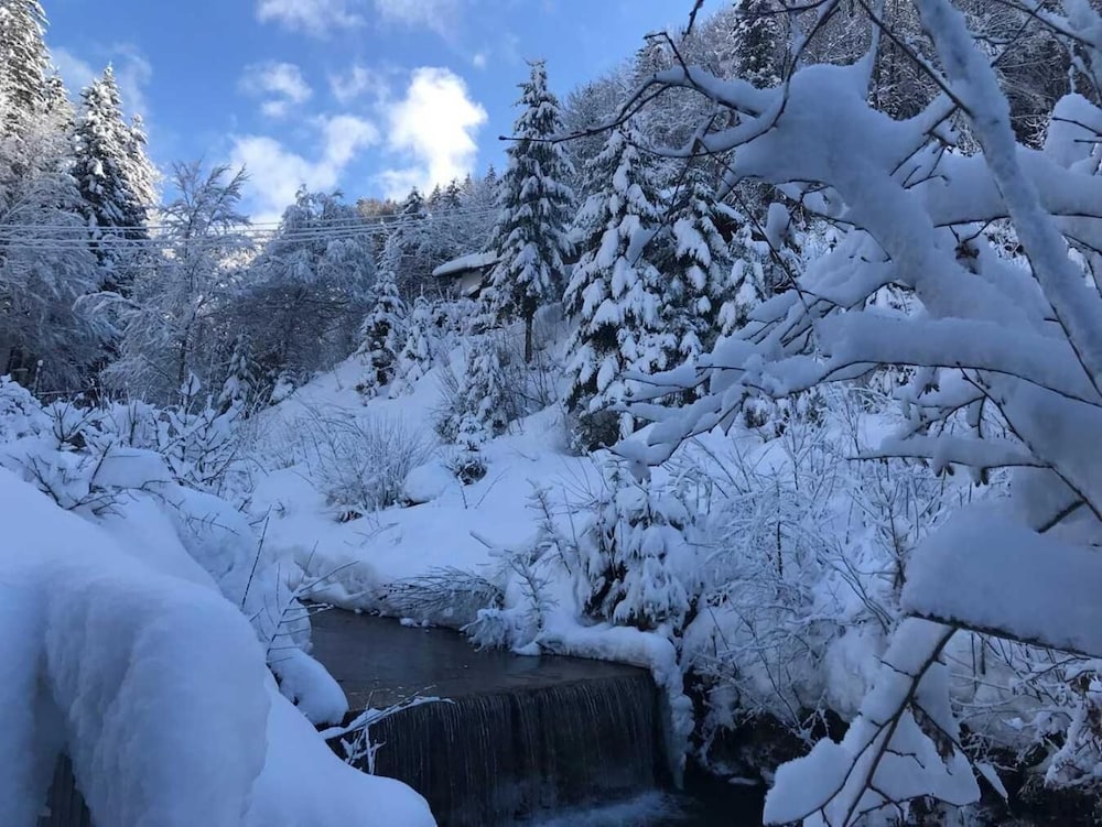 Snow and ski sports