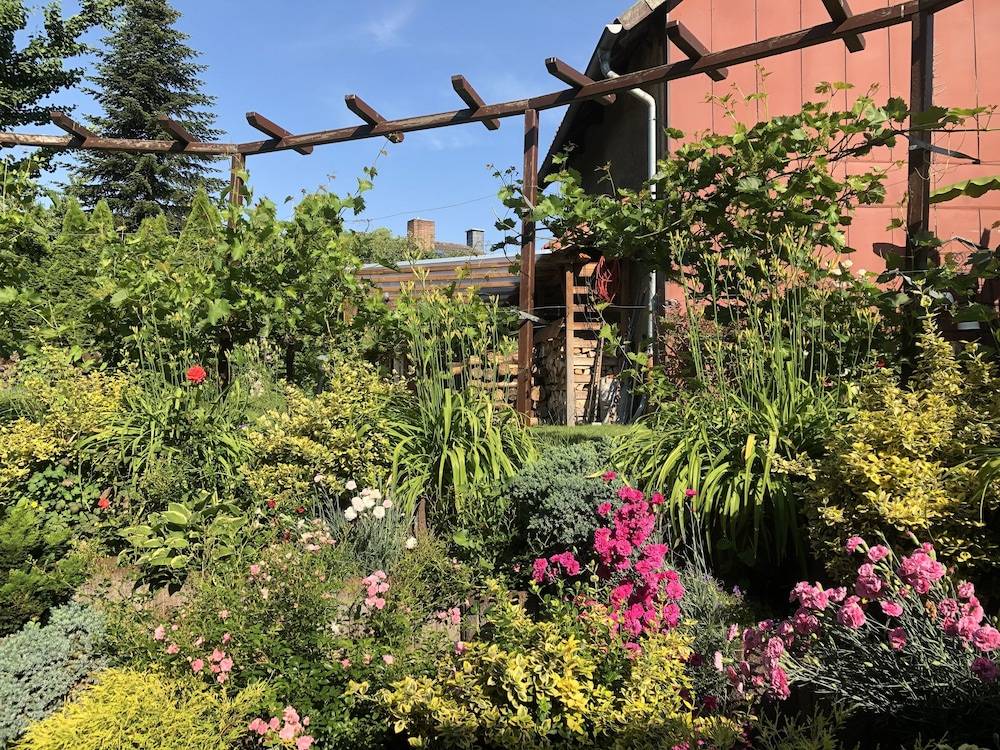 Garden view