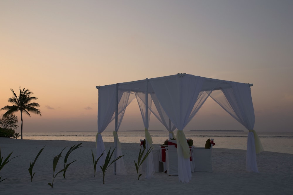 Outdoor wedding area