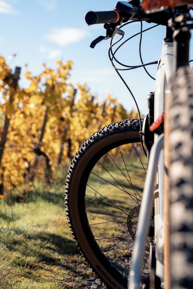 Bicycling