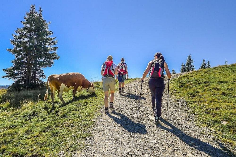 Hiking