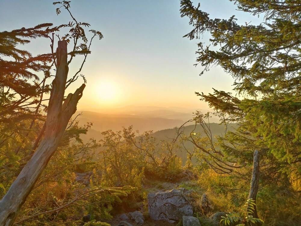 Hiking
