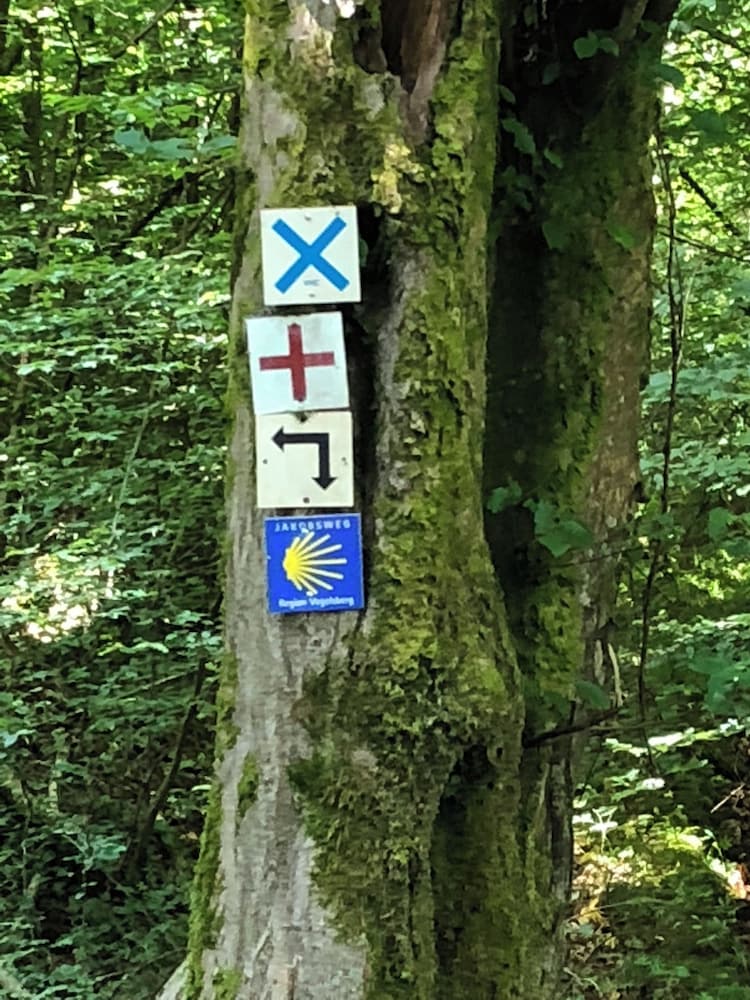Hiking