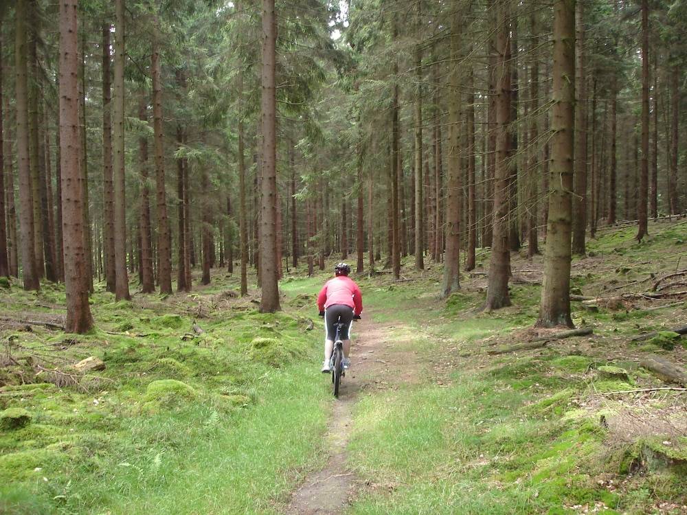 Bicycling