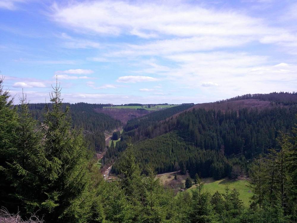 View from property
