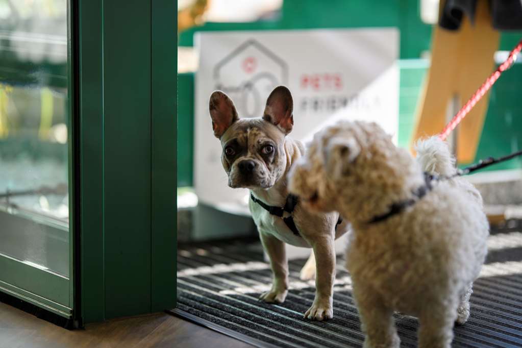 pets friendly for an additional charge