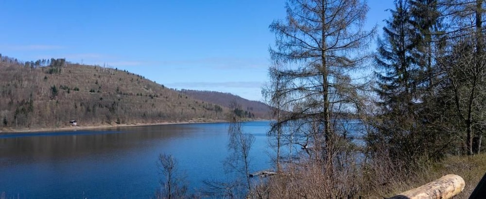 Lake view