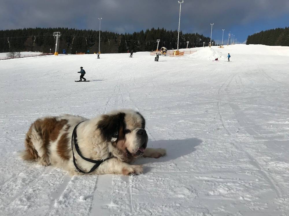 Ski hill