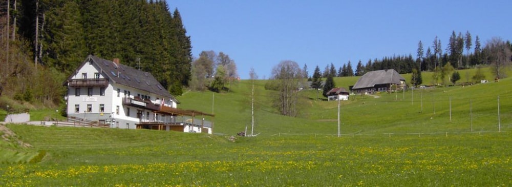 Primary image