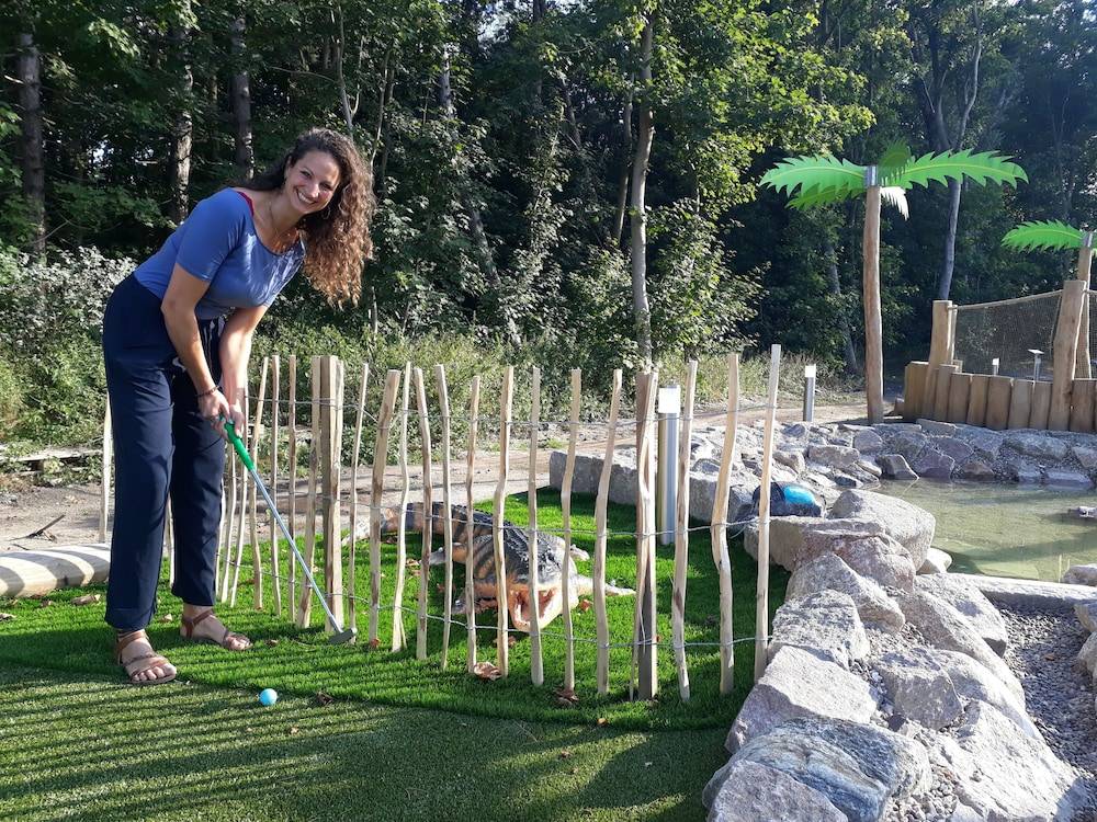 Mini-golf