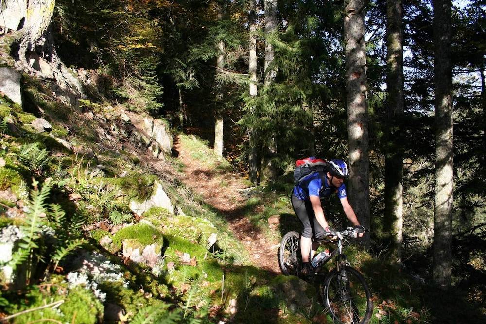 Bicycling
