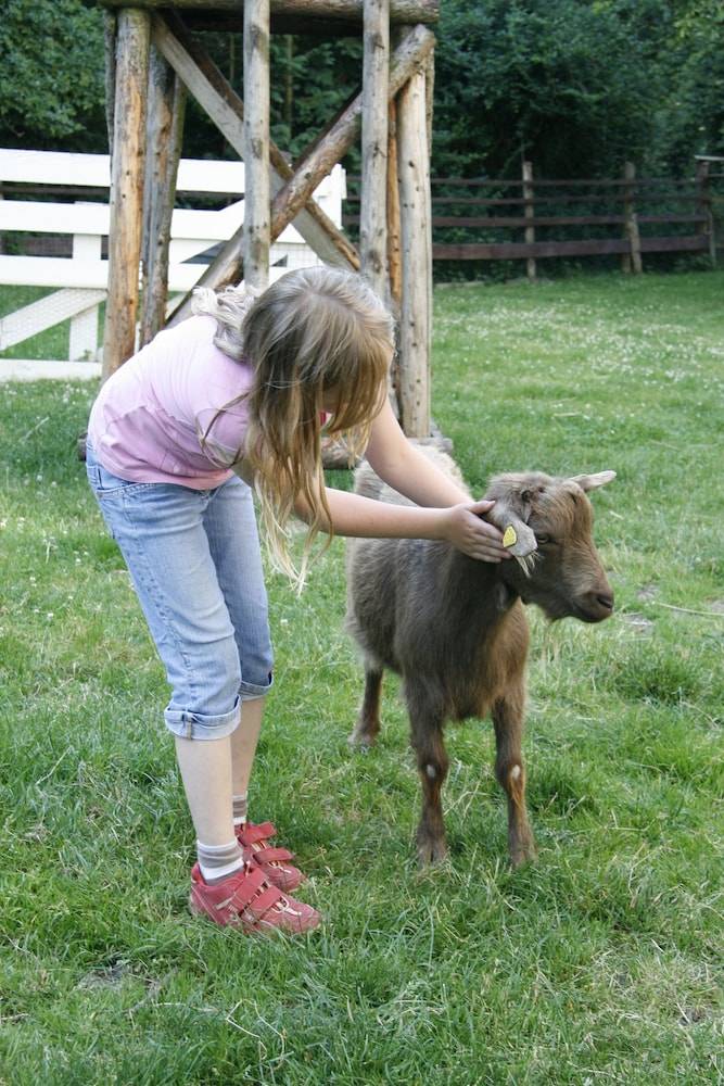 Children's activities