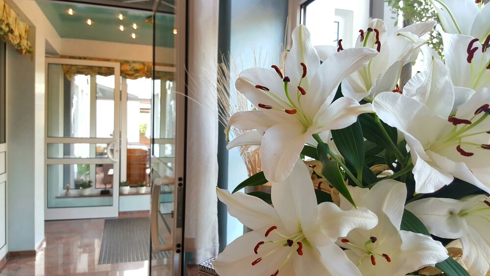 Hotel Interior