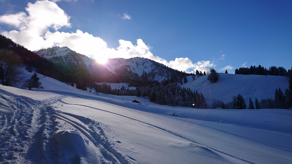 Snowshoeing