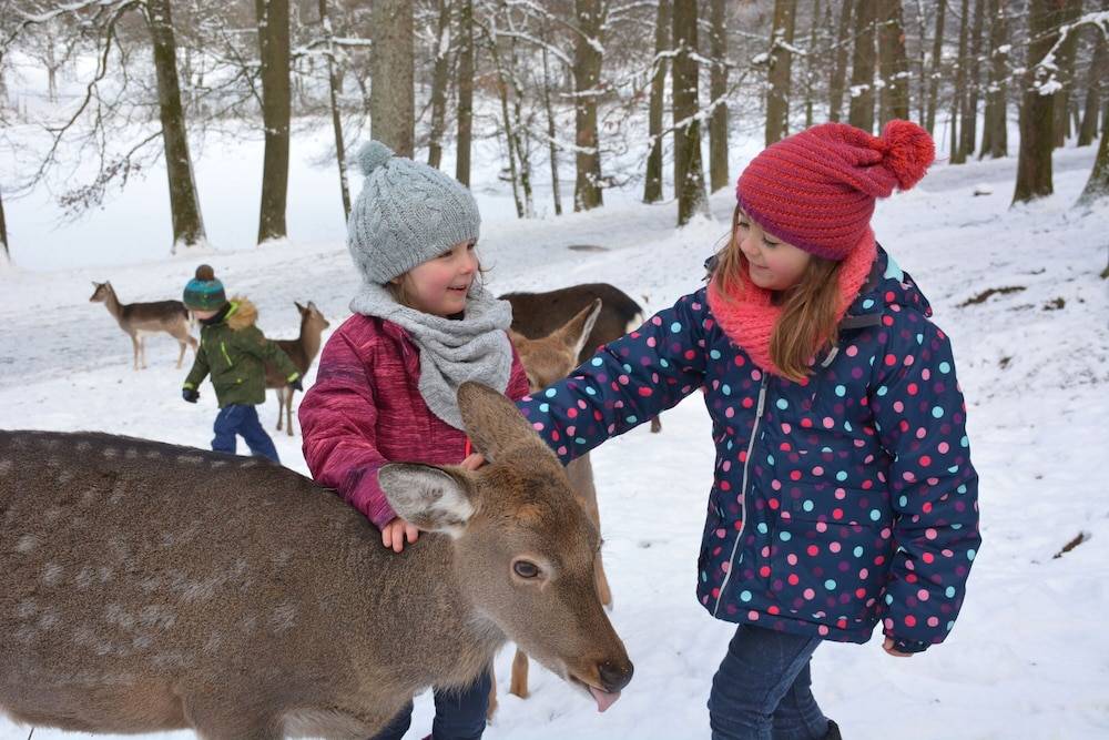 Children's activities