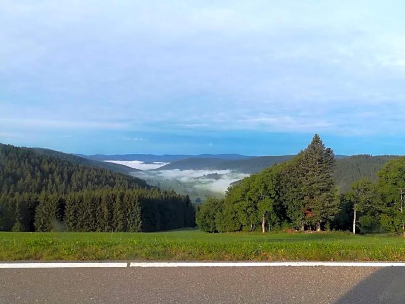 General view