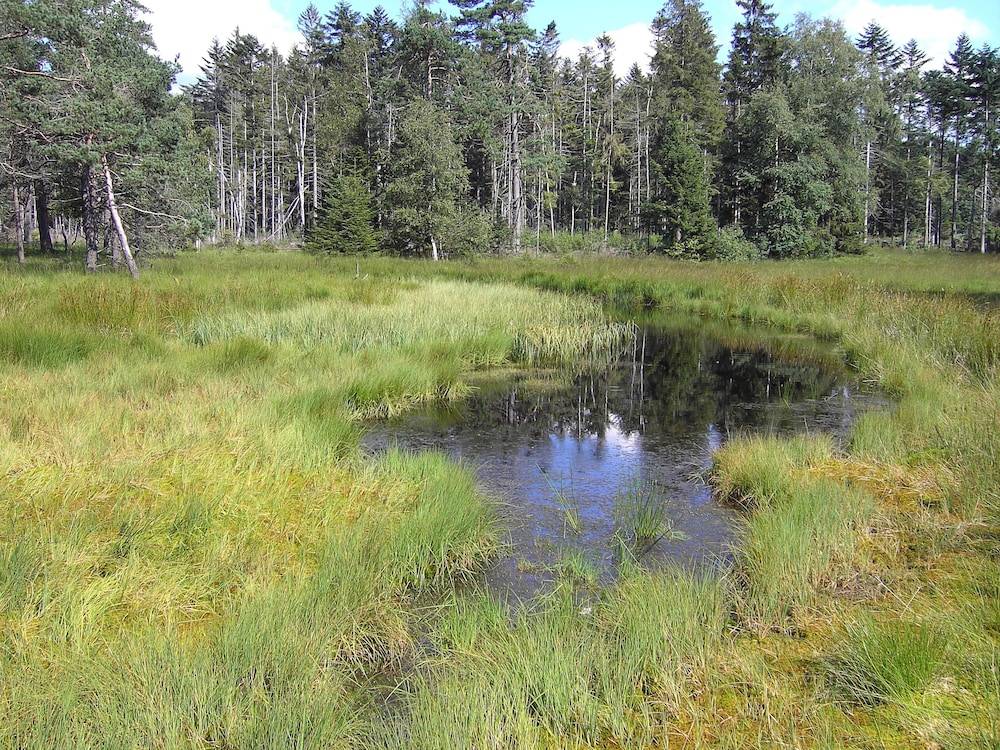 Land view from property