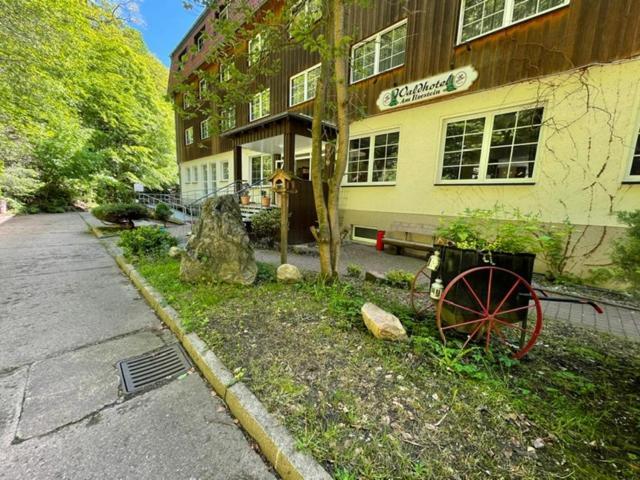 Waldhotel Am Ilsestein