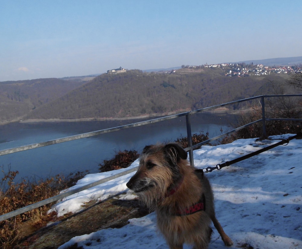 Hiking