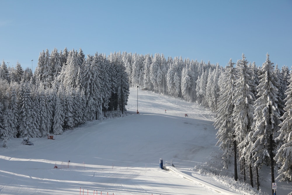 Skiing