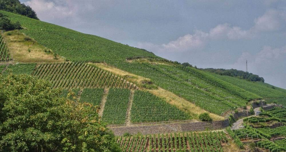 Land view from property