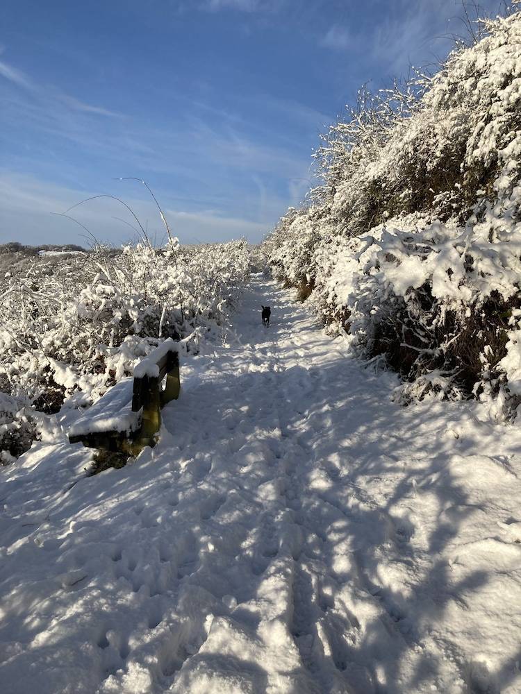 Hiking