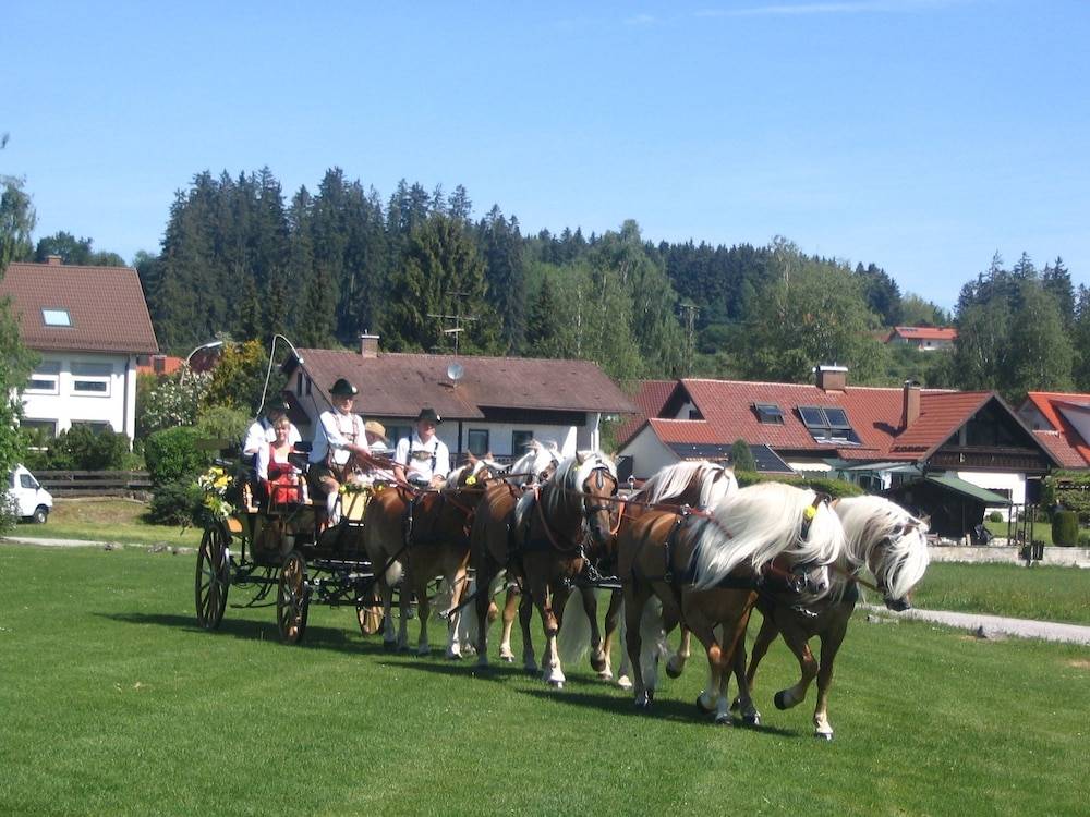 Horseback riding