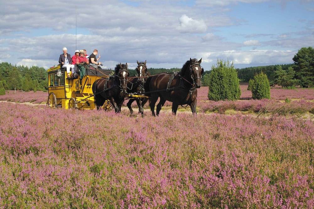 Ecotours