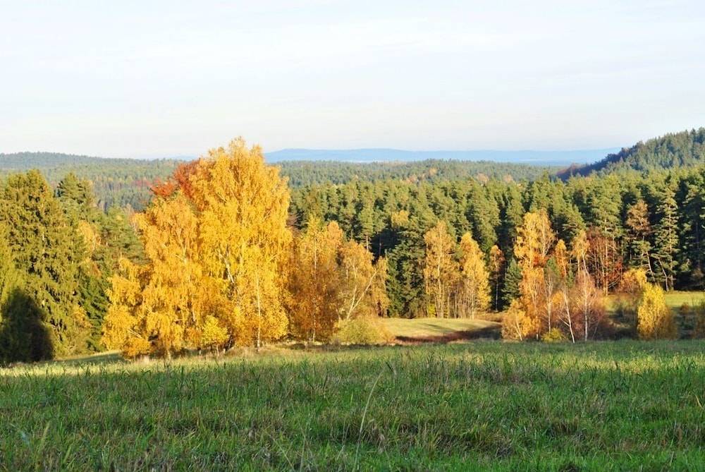Land view from property