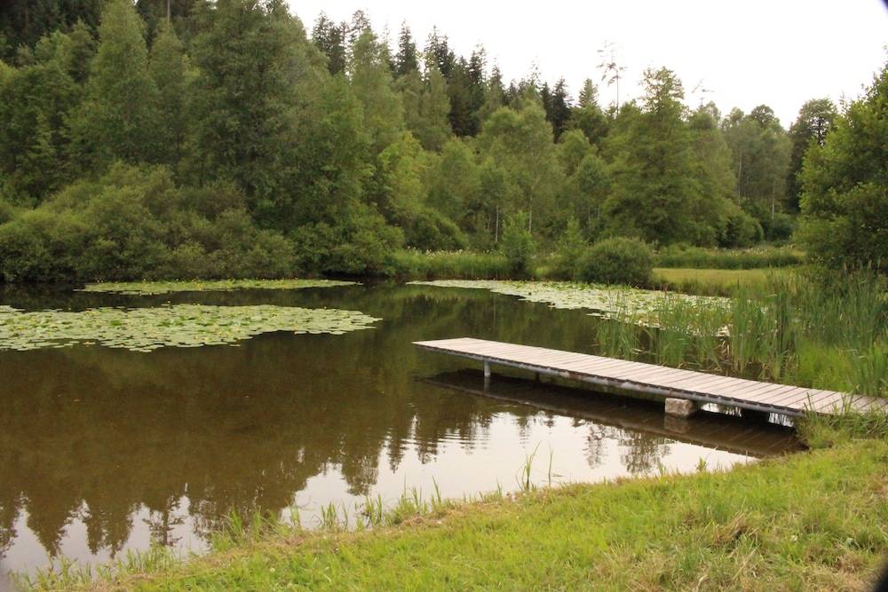 Dock