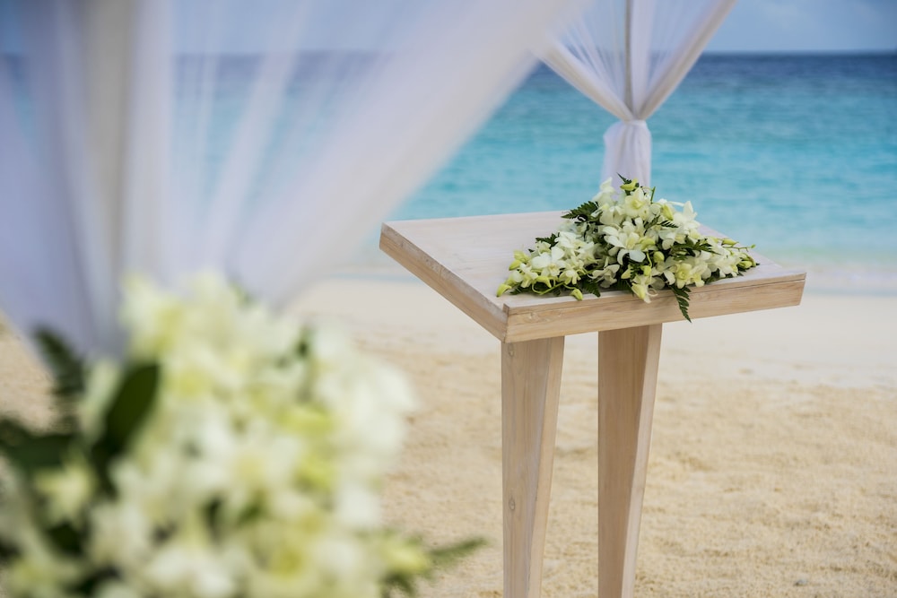 Outdoor wedding area