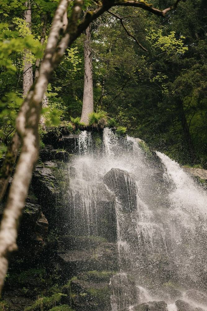Hiking