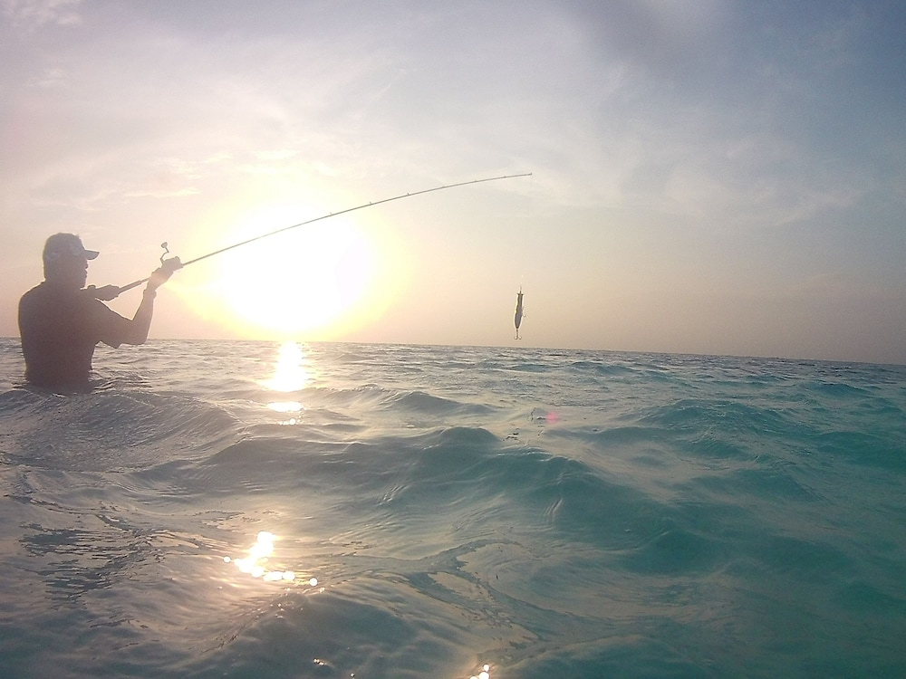 Fishing