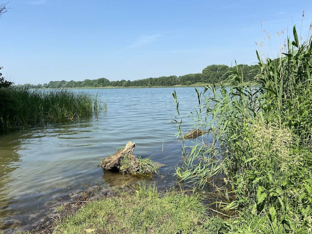 Land view from property